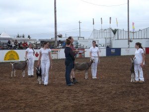 2013-08-14 Halifax County Exhibition 2013 55