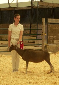 Nova Scotia Provincial Exhibition 2013 125