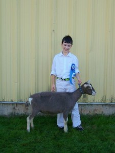 4H Pro Show 2014 046