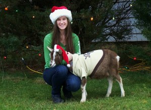 Christmas Sigma 026c